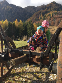 Hike with kids: Plimbare din Sinaia la Stana regala