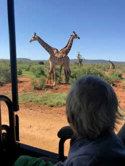 Travel with kids: Safari in Africa de Sud