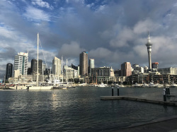 Excursie prin Noua Zeelanda: 1 zi in Auckland