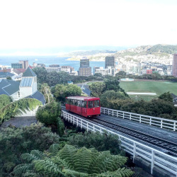 Excursie prin Noua Zeelanda: Wellington, capitala cocheta
