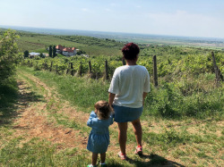 Pe drumul vinului Prahova: In vizita la Conacul Domnitei Ralu